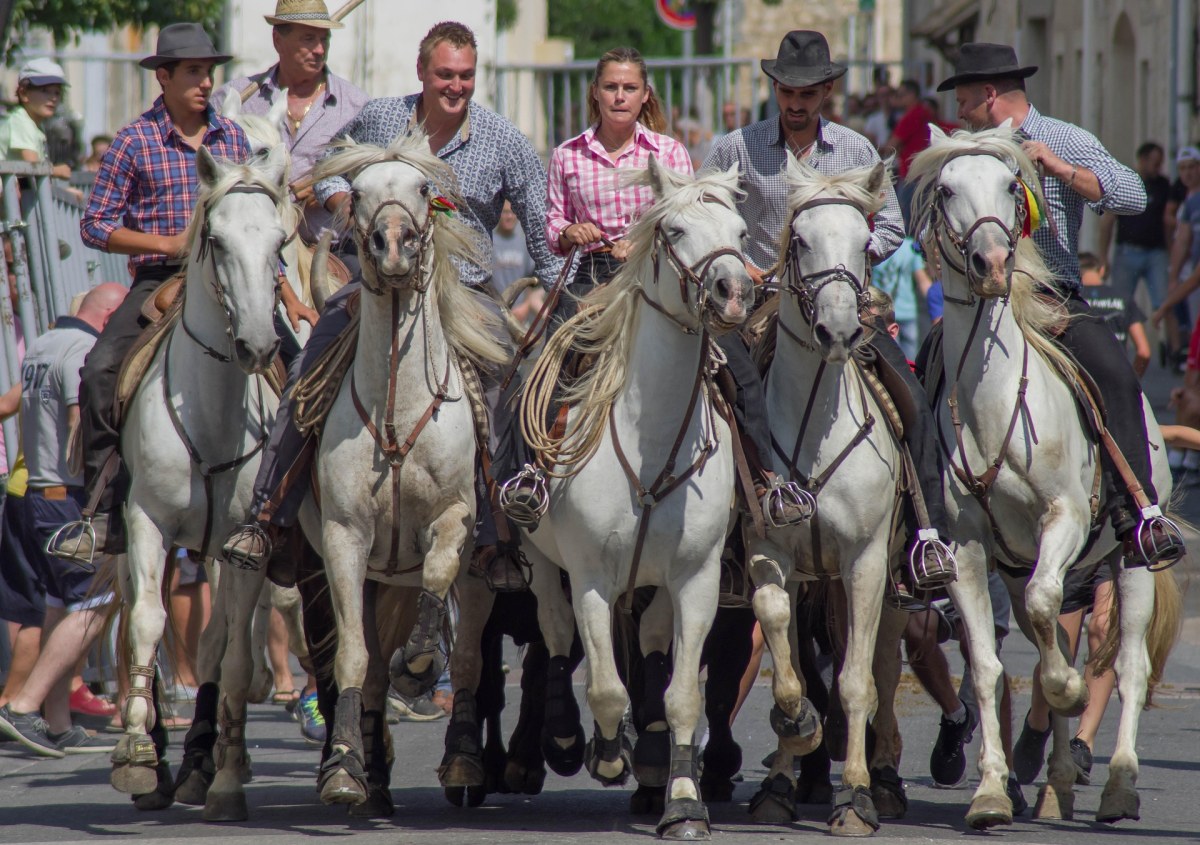 Atlixco Implementa Operativo Vial y Filtros de Alcoholímetro por Tradicional Cabalgata